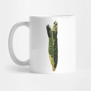 Rare and Expensive Variegated Philodendron Billietiae Design Mug